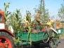 Dożynki 2004