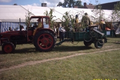 OBRAZ 010