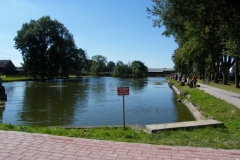 IS_DSCF8295