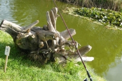 DSCF0306