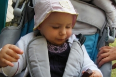 DSCF0564