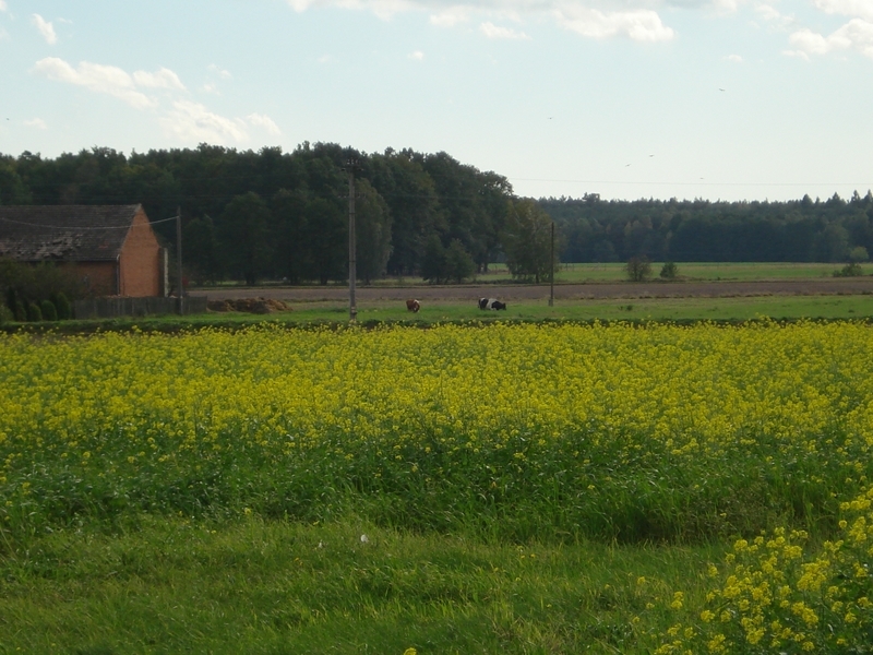 DSC04404