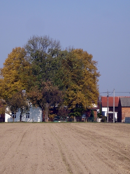 DSC04679