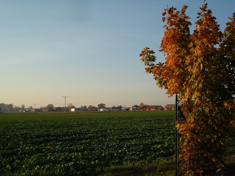DSC04695