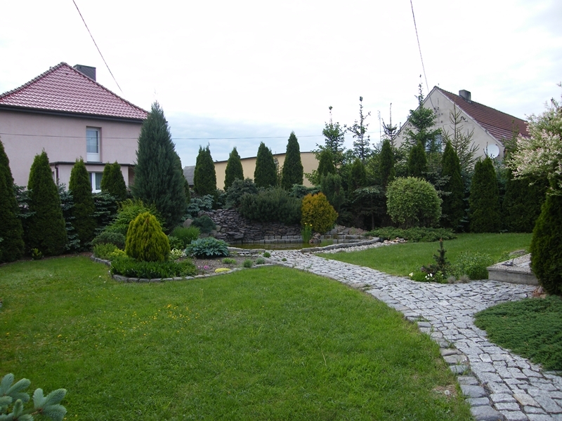 DSCF9072