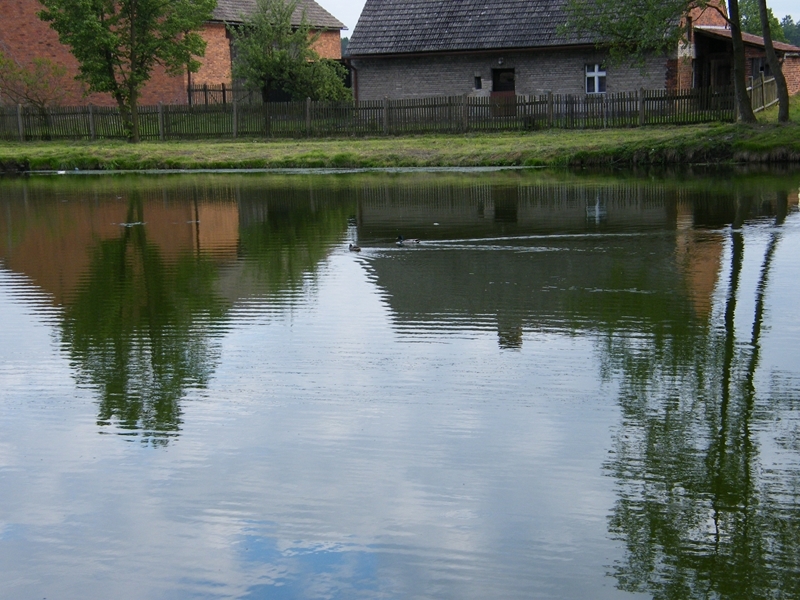 DSCF9089