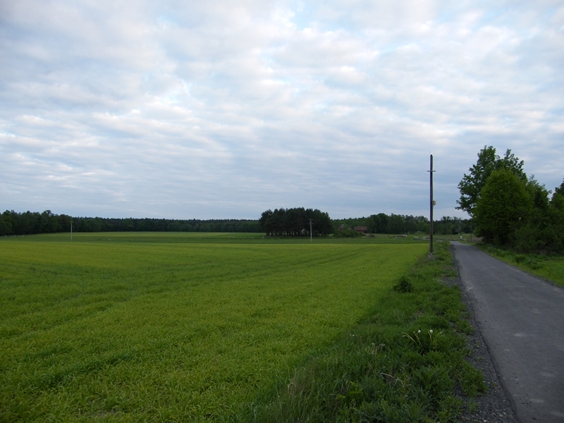 DSCF9152