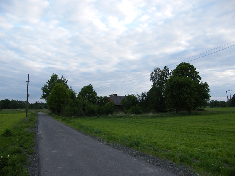 DSCF9153