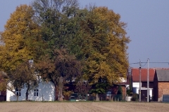 DSC04679