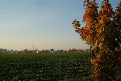 DSC04695