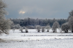 DSC05624