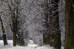 DSC05626