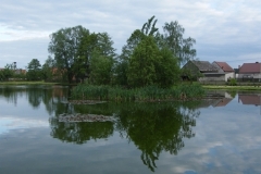 DSCF9117