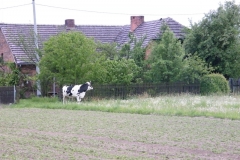 DSCF9162