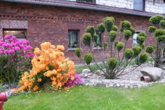 DSCF9165