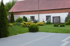 DSCF9171