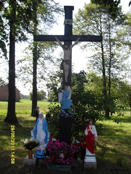 SDC13475