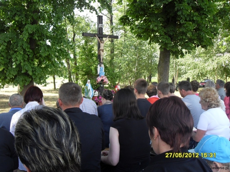 SDC15813_(Kopiowanie)