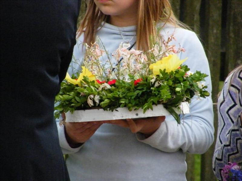 DSCF4874