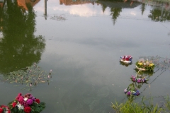 DSCF4910