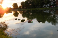 DSCF4914