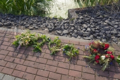 1_noc_swiet_2022-617