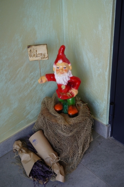DSC02566