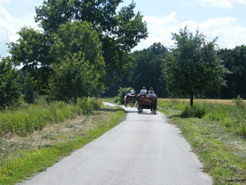 DSCF9844