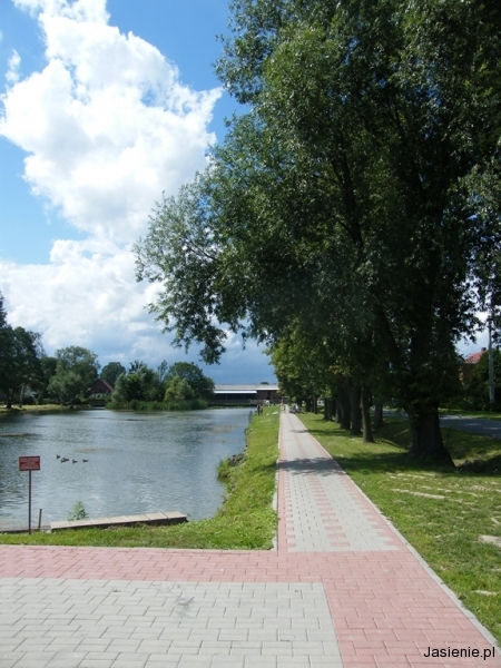 DSCF9849