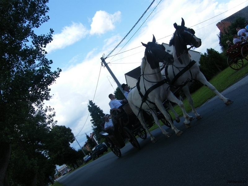 DSCF9852