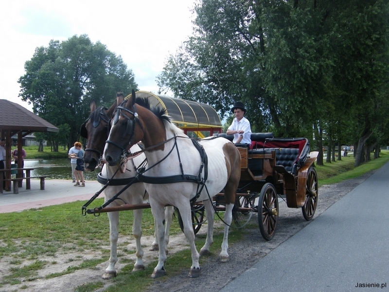 DSCF9856