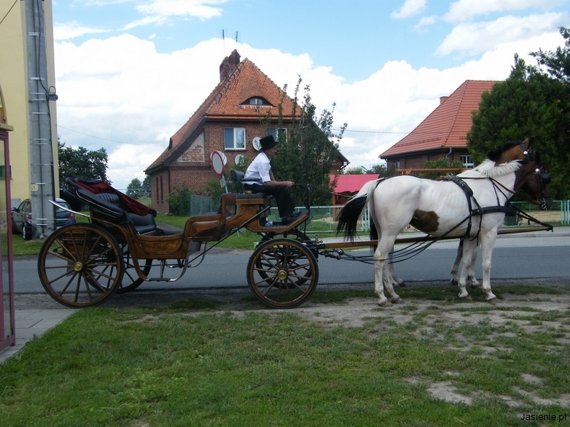 DSCF9859