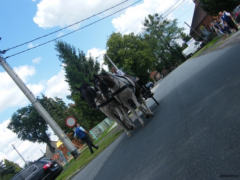 DSCF9861