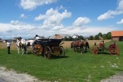 DSCF9836
