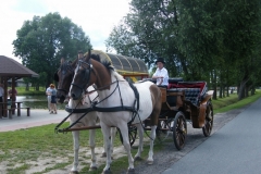 DSCF9856