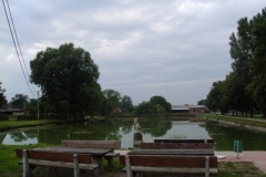 DSC05586_[x]