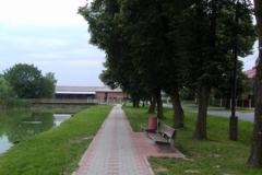 DSC05587_[x]