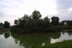 DSC05589_[x]