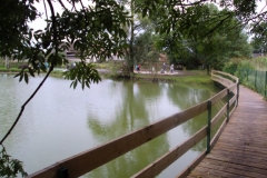 DSC05633