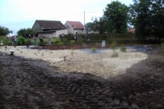 DSC05638
