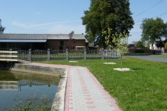 zDSCF8667