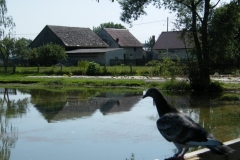 zDSCF8667_(6)