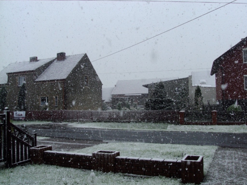 DSC05332