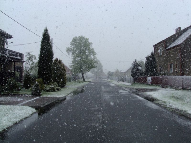 DSC05333