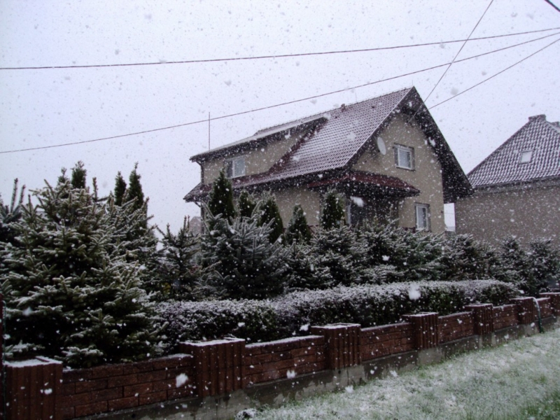 DSC05334