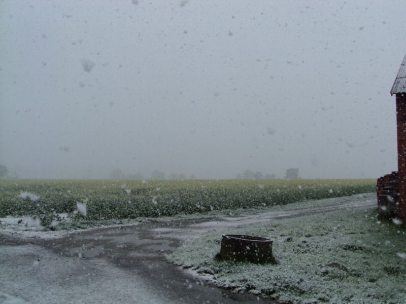DSC05336