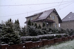 DSC05334