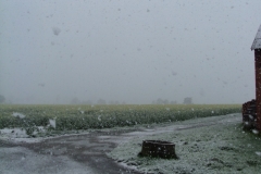 DSC05336
