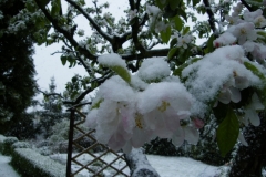 DSCF7965_resize