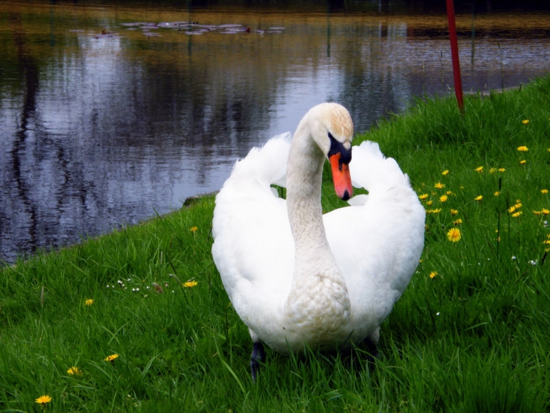 DSCF7909_resize